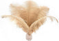 Ballinger Large Champagne Ostrich Feathers - 24pcs 8-10inch Boho Feathers for vase and Home Decor Wedding Party Centerpieces