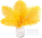 SOGUGOM Gold Craft Ostrich Feathers - 30PCS 8-10 inch Ostrich Feathers Kit for Centerpieces, Kindergarten Crafts, Dream Catchers and DIY Projects(Gold)