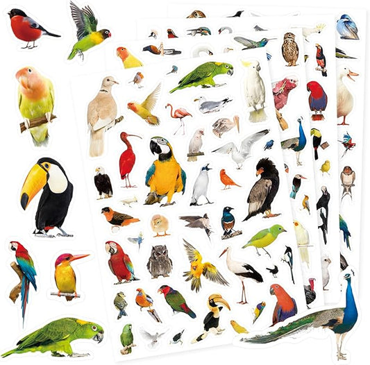 Bird Stickers 850 Count Tropical Bird Parrot Flamingo Peacock Hummingbirds Stickers Animal Party Favors Gifts Sticky Decor for Scrapbook Calendar Planner Gift Wrap Decor