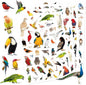 Bird Stickers 850 Count Tropical Bird Parrot Flamingo Peacock Hummingbirds Stickers Animal Party Favors Gifts Sticky Decor for Scrapbook Calendar Planner Gift Wrap Decor