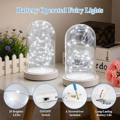 Lakumu 12 Pack Fairy Lights Battery Operated String Lights -7FT 20LED Fairy Lights Silver Wire Firefly Starry Moon Lights for DIY Christmas Decorations Party Wedding Centerpiece Table Decor Cool White