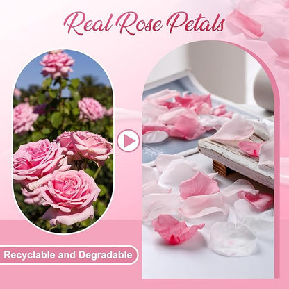 300 PCS Real Pink White Rose Flower Petals Confetti for Wedding Flower Girl to Throw, 2.82oz Freeze Dried Rose Petal for Proposal Centerpieces Romantic Night Decor