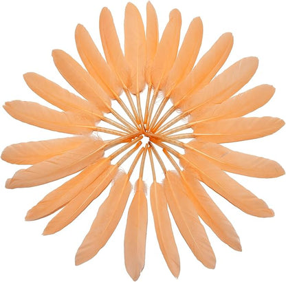 FeelfunFeather 120pcs Champagne Goose Cochettes Feather Natural Bulk 4-6 inch 10-15cm for Wedding Party Christmas Decorations DIY Crafts Goose Cochettes Feather