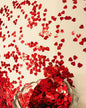 Heart Confetti Bulk - Glitter Hearts Shaped Sprinkles for Weddings, Valentines Day Decorations, Photo Shoots, Envelope Stuffing, Party Supplies & Memory Keepsakes (Red)