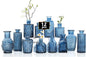 Mini Bud Vases As Wedding Centerpieces for Tables,Clear Bud Vases for Flowers,Small Flower Vases Suitable for Birthday Party,Anniversary,Wedding Reception,Baby Shower (Blue, 12PCS)