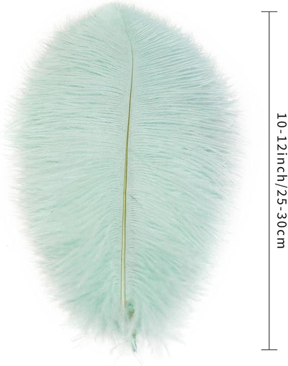 Ballinger Aqua Green Ostrich Feathers - 24pcs 10-12inch Craft Feathers Bulk for Wedding Party Centerpieces Mardi Gras Decorations and Home Decor