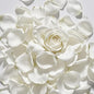 3.5 Oz Dried Rose Petals Wedding Biodegradable Petals, Natural Preservation Real Flower Petals, Suitable for Flower Petals for Flower Girl, Romantic Night, Table Decoration (White, 100g)
