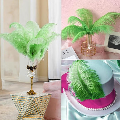 NEWONG 30pcs Fruit Green Ostrich Feathers Natural Bulk 9-12inch(23-30cm) Vase Craft Wedding Home Party Centerpieces Christmas Day Decoration