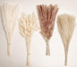 Natural Dried Pampas Grass Decor, 100 PCS Pampas Grass Contains White Bunny Tails Dried Flowers, Reed Grass Bouquet for Wedding Boho Flowers Home Table Decor, Rustic Farmhouse Party (17”)
