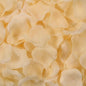 1000 Pcs Artificial Fake Rose Petals,Flower Petals for Romantic Night, Engagement, Party, Wedding, Event Flower Decorations, in Bulk(Champagne Color)