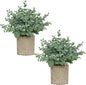 2 Pack Small Fake Plants, Artificial Eucalyptus with Gray Paper Pulp Pots, Small Potted Faux Greenery for Home Decor Indoor, Bathroom, Shelf, Office, Desk, Farmhouse Room Decoration