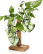 Plants Propagation Stations Plant Terrarium Kit Glass Planters for Indoor Plants House Plant Accessories Gift for Women - 4 Love Bulb Vase