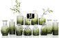 Mini Bud Vases As Wedding Centerpieces for Tables,Clear Bud Vases for Flowers,Small Flower Vases Suitable for Birthday Party,Anniversary,Wedding Reception,Baby Shower (Dark Green, 12PCS)