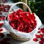 300 PCS Dried Real Red Rose Flower Petals Confetti for Wedding, 2.82oz Preserved Freeze Flower Girl Petals for Romantic Night Wedding Proposal Centerpeice Shower Party Decor