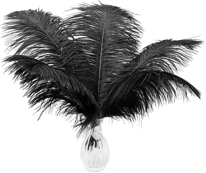 Ballinger Black Ostrich Feathers Bulk - 24Pcs 8-10inch Feathers for Crafts,Gatsby and Halloween Party Centerpieces