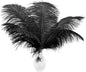 Ballinger Black Ostrich Feathers Bulk - 24Pcs 8-10inch Feathers for Crafts,Gatsby and Halloween Party Centerpieces