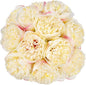 U'Artlines 20 Heads Artificial Peony Silk Flower Leaf Home Office Wedding Party Festival Bar Decor (Champagne)