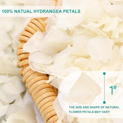 Dried Real Hydrangea Petals, Natural Preserved Dry Flower Petal for Wedding Party Dinner Table Decor, Romantic Night for Her, Engagement, Bridal Shower, Valentines Day, Confetti (1.1oz, Ivory White)