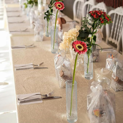 12 Pack 7 Inch Glass Cylinder Bud Vases for Centerpieces Clear Slim Flower Vases Tall Glass Cylinder Vase Small Vase for Single Rose Vases Bulk, Home Aesthetic Desk Decor