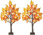 24 Inch Fall Lighted Maple Tree, 2FT Fall Tree with 36 LEDs, 6 Acorns, Timer Battery Operated, Thanksgiving Decorations Table Lights Tree for Autumn Wedding Party Gift Harvest Home