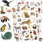 Wild Animals Stickers 750 Count Safari Jungle Animal Woodland Wildlife Zoo Creatures Stickers Party Favors Gifts Sticky Decor for Scrapbook Calendar Planner Gift Wrap Decor