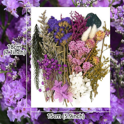 Vignee Real Dried Pressed Leaf Flowers-Multiple Colorful Pressed Flowers Daisies for Craft Resin Jewelry Making Art Craft DIY（Blue & Purple）