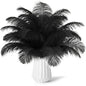 NEWONG 30pcs Black Ostrich Feathers Natural Bulk 8-10inch(20-25cm) Vase Craft Wedding Home Party Centerpieces Christmas Day Decoration