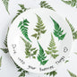48 Pcs Dried Pressed Flowers Leaves Ferns for Crafts Art Resin DIY Natural Dry Green Leaf Epoxy Jewelry Real Rose Flower Decor Cakes Phone Cases Bookmarks Candles Handmade Soap Ferns