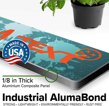 Custom Sign, Custom Street Sign, 11 Font Colors, 13 Font Styles, 4 Hole Options, 22 Sizes, 3x12 Inches, Rust Free DiBound, Fade Resistant, Made in USA by My Sign Center (Graffiti)