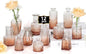 Mini Bud Vases Set of 12 As Wedding Centerpieces for Tables,Clear Bud Vases for Flowers,Small Flower Vases Suitable for Birthday Party,Anniversary,Wedding Reception,Baby Shower (Pink, 12PCS)