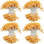 HAHIYO 700Pcs 2mm Orange-Yellow Matte Double Head Flower Stamen Pistil for Flower Making Scrapbook Decoration - Handmade Artificial Flowers Pistil Matt-Like Floral Stamens Flowers Pollen Stamen