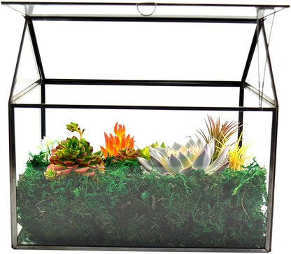 Black 1 Large Glass Plant Terrarium Kit with Lip Greenhouse for Succulents