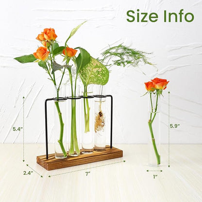 Plant Propagation Station, Glass Tubes for Indoor Hydroponic Plants & Flower Stems, Home/Office Decor, Birthday Gifts for Women, Gardening Gifts for Mom