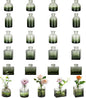 Glasseam Mini Bud Vases for Centerpieces: Clear Small Flower Vase Set of 20 Cute Tiny Glass Table Centerpieces Modern Wedding Birthday Party Baby Shower Dining Room Decoration Green