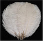 YAKRUNA 30PCS White Ostrich Feathers for Centerpieces for Wedding Birthday Gatsby Party, 12-14 Inches Bulk Decorative Plumes for Vase & Table & Christmas Tree Decor (30-35cm, White)