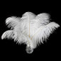 Ballinger Large White Ostrich Feathers - 24Pcs 12-14inch Large Feathers for Vase,Party Centerpieces,Wedding and Home Decor