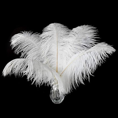 12pcs Natural White Ostrich Feathers 12-14inch (30-35cm) for Wedding Party Centerpieces，Flower Arrangement and Home Decoration.