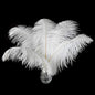 Ballinger Large White Ostrich Feathers - 24Pcs 8-10inch Feathers for Crafts,Party Centerpieces,Wedding and Home Decor