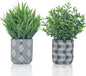 2 Pack Small Fake Plants, Fake Grass Plant, Artificial Boxwood with Geometric Pattern Cement Pots, Small Potted Faux Greenery for Home Decor, Bathroom, Shelf, Office, Farmhouse Decoration