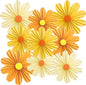SUNBEAUTY 9 PCS Orange Paper Flowers Decorations for Wall Paper Fans Daisy Decoration Paper Floral Backdrop Decor Paper Fans Decoration