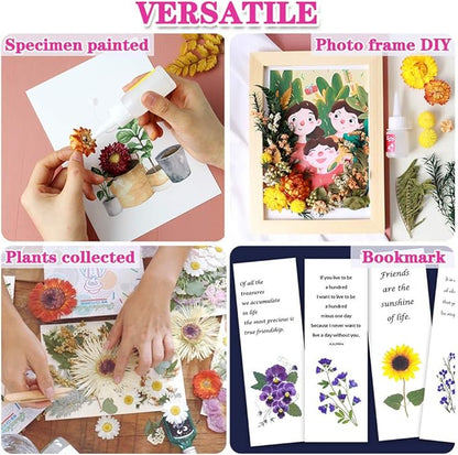 Vignee Real Dried Pressed Leaf Flowers-Multiple Colorful Pressed Flowers Daisies for Craft Resin Jewelry Making Art Craft DIY（Blue & Purple）
