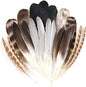MAOFENG 20pcs Natural Pheasant Feathers 5 Styles 5-9 inches 13-23cm for DIY Craft Wedding Home Party Hat Floral Arrangements Halloween Decorations