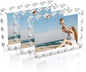 3 Pack Acrylic Picture Frame: 4x6inch Magnetic Picture Frames, Double Sided Magnet Frames,10+10mm Thick Block, Clear Photo Scalloped Frames Freestanding for Desktop Display (Clear, 4X6)