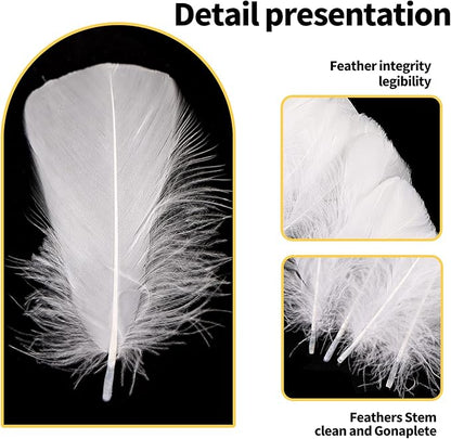 THARAHT 360pcs White Feathers 3-5 inch Craft Feathers Assorted Rainbow Colors Feathers for Kids for DIY Handmade Wedding Home Party Decorations Natural Feather