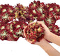 Dried Flower Carnation Biodegradable Confetti - Real Flower Petals for Weddings, Flower Girl Toss, Wedding Send Off Ideas, Party Table Decoration | Boxed - 8oz (0.5lbs)