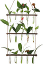 YIBOT Propagation Stations,3 Tiered Wall Hanging Terrarium with Wooden Stand,Mini Glass Test Tubes Vase,Propagation Tubes for Hydroponic Cutting Home Garden Office Decor Plant Lover Gift