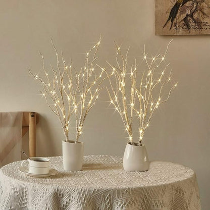 Fudios Lighted Birch Branches 18IN 70 Warm White LED with Timer Twig Lights Battery Operated for Christmas Wedding Party Decoration(2 Set)