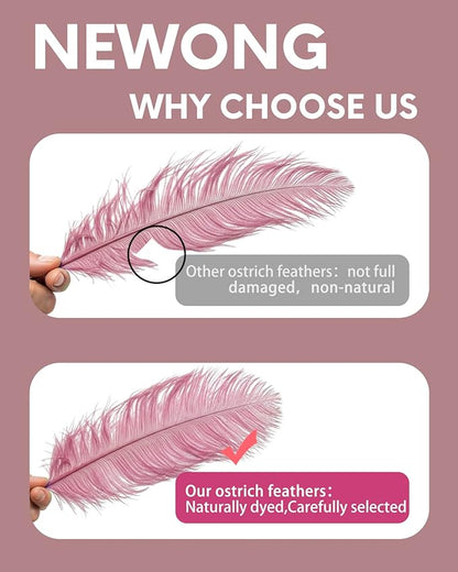 NEWONG 30pcs Peony Pink Green Ostrich Feathers Natural Bulk 11-14inch(28-35cm) Vase Craft Wedding Home Party Centerpieces Christmas Day Decoration