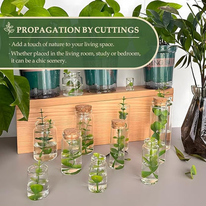 JIUYUE 10 pcs 20 ml Glass Bottles with Cork,Storage Bottles for Liquids(0.67 oz-1.45x1.57 inch)
