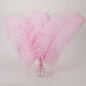 Larryhot Pink Long Ostrich Feathers - 16-18 inch 10pcs Feathers for Cfafts, Wedding Party Centerpieces and Home Decorations (Light Pink)